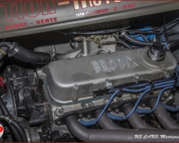 TSR Watermark - 0545